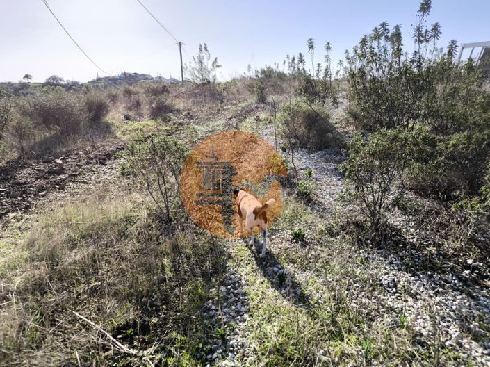 Image No.8-Plot for sale