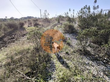 id331ca301-0000-0500-0000-00001836decd