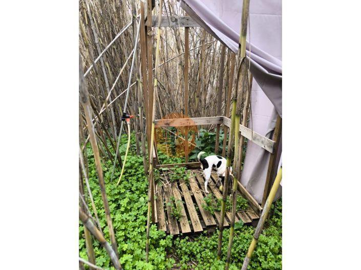 Image No.13-Plot for sale