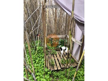 ide8f5b901-0000-0500-0000-000018342d49