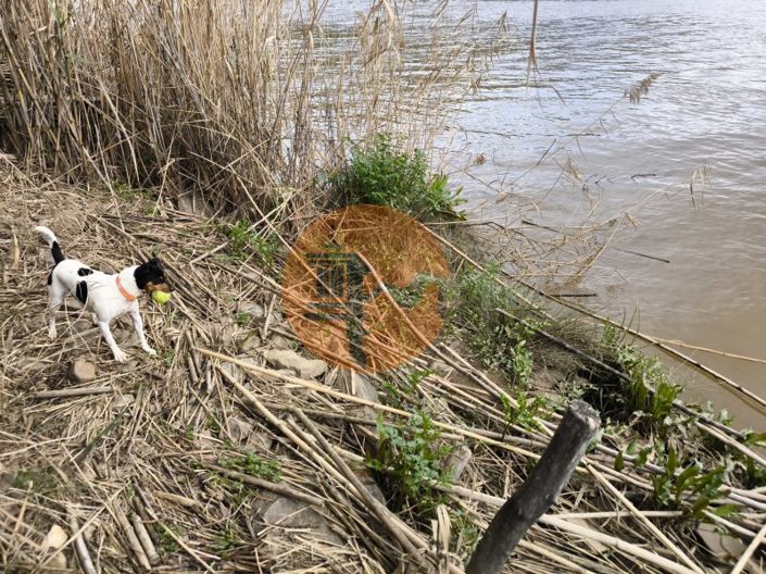 Image No.17-Plot for sale