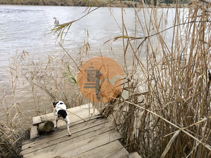 Image No.19-Terrain à vendre à Alcoutim