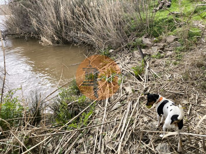 Image No.21-Terrain à vendre à Alcoutim