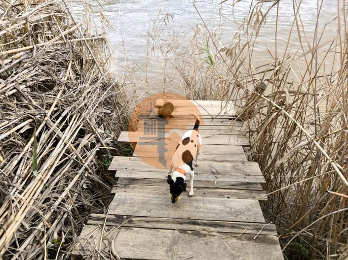 Image No.24-Terrain à vendre à Alcoutim