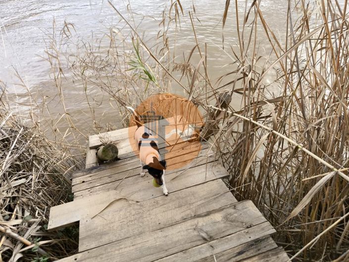 Image No.24-Plot for sale