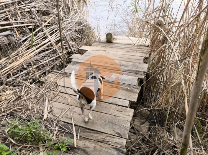 Image No.27-Plot for sale