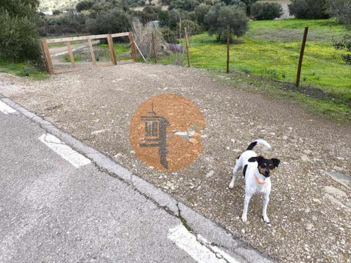 Image No.27-Plot for sale