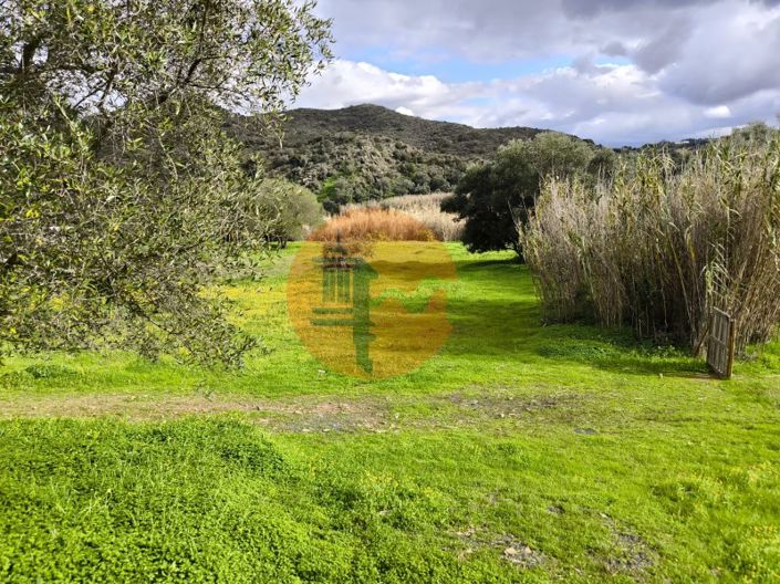 Image No.3-Plot for sale