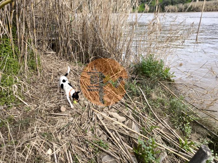 Image No.30-Plot for sale