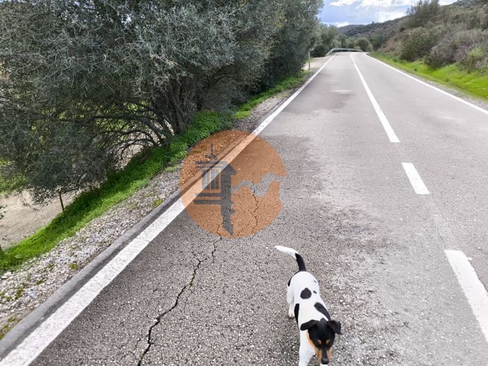 Image No.33-Terrain à vendre à Alcoutim