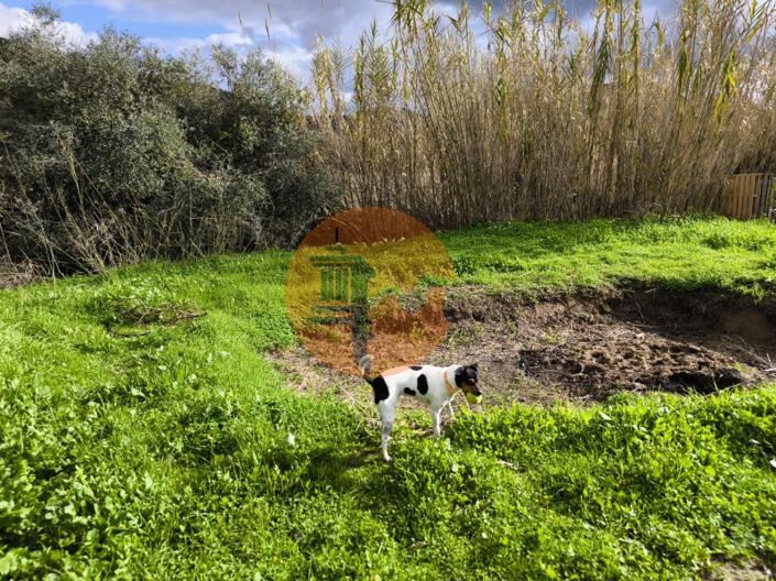 Image No.33-Plot for sale