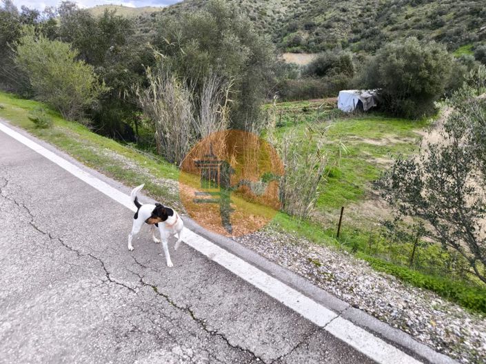 Image No.34-Plot for sale