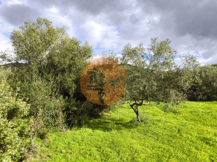 Image No.36-Plot for sale