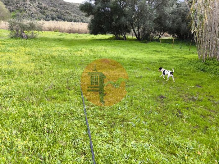 Image No.39-Plot for sale