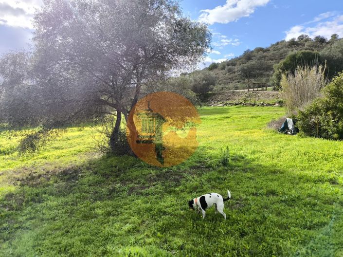 Image No.39-Plot for sale