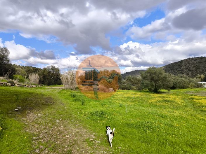 Image No.40-Plot for sale