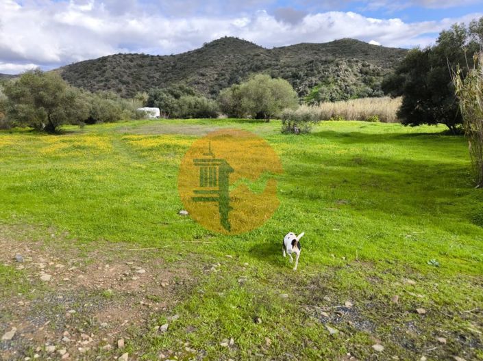 Image No.43-Plot for sale