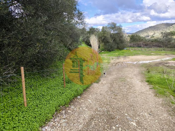 Image No.46-Plot for sale