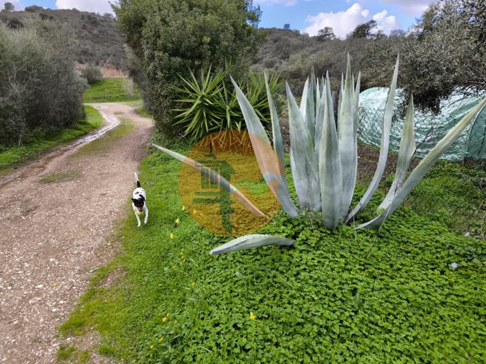 Image No.6-Terrain à vendre à Alcoutim