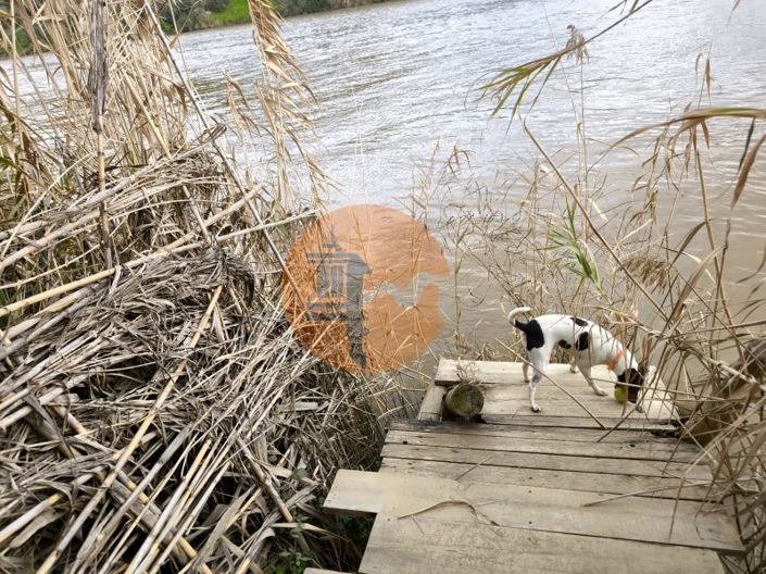 Image No.6-Plot for sale