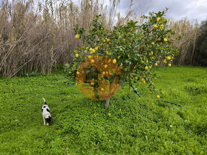 Image No.7-Plot for sale