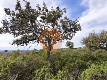 id5538bf01-0000-0500-0000-0000185e8514