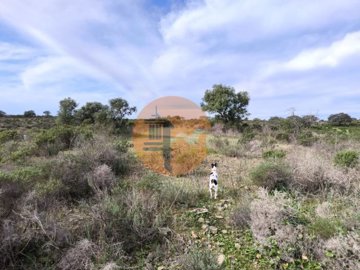 id5538bf01-0000-0500-0000-0000185e8515