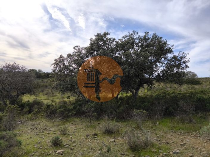 Image No.12-Plot for sale