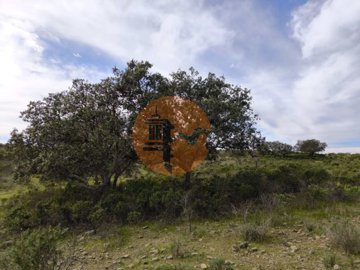 id5538bf01-0000-0500-0000-0000185e8518