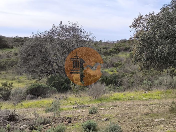 Image No.20-Plot for sale