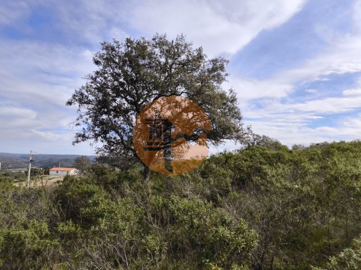 Image No.3-Plot for sale