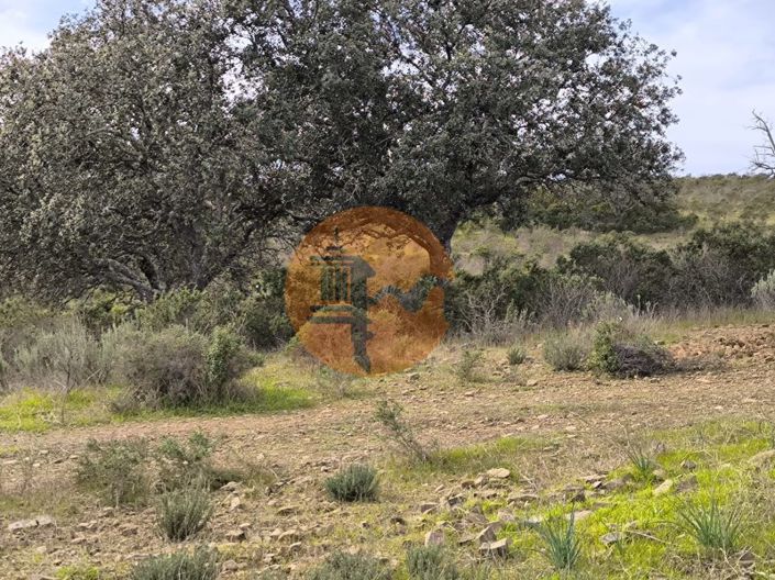 Image No.4-Plot for sale