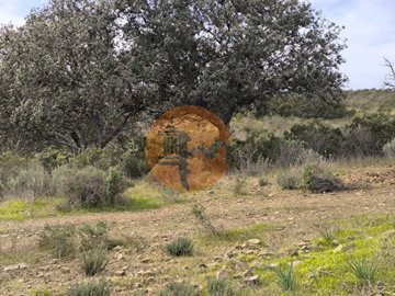 id5538bf01-0000-0500-0000-0000185e851e