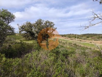 id5538bf01-0000-0500-0000-0000185e8513