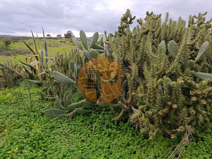 Image No.49-3 Bed Commercial for sale