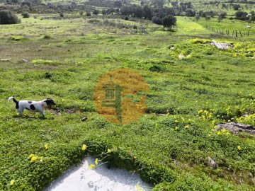 idb0c7a901-0000-0500-0000-0000185f05a4