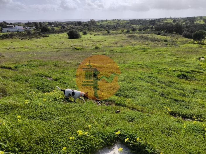 Image No.8-Terrain à vendre à Castro Marim