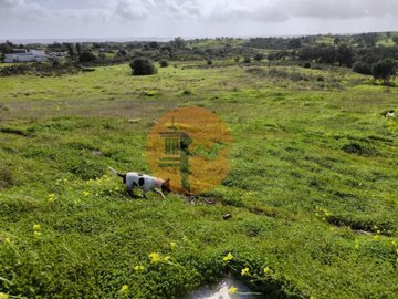 idb0c7a901-0000-0500-0000-0000185f05a6