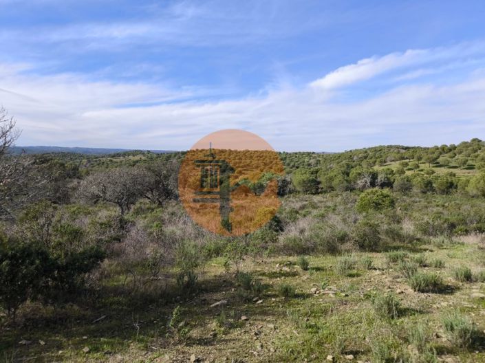 Image No.10-Plot for sale