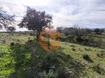 ide439bf01-0000-0500-0000-0000185e9c91