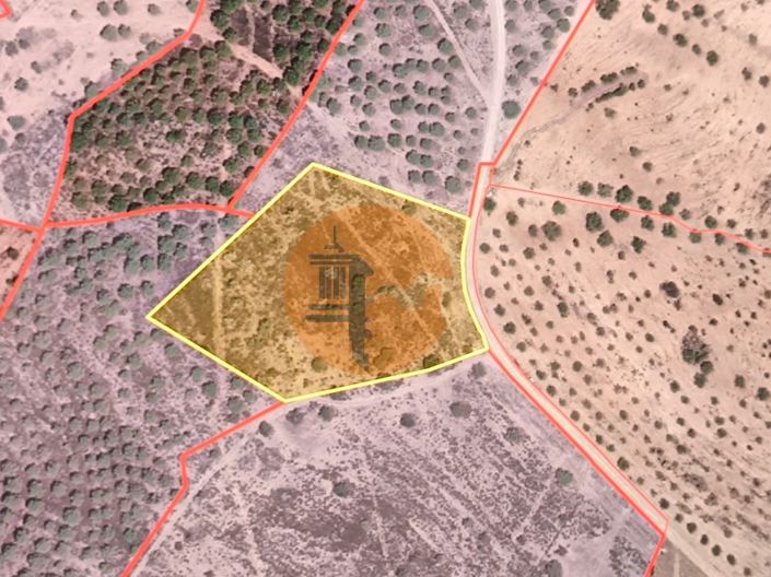 Image No.12-Plot for sale