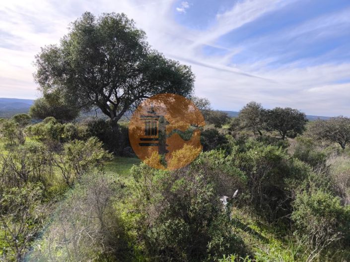 Image No.13-Plot for sale