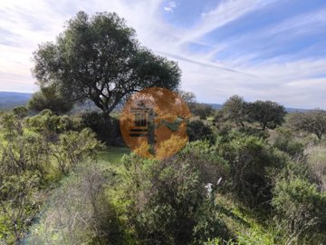 ide439bf01-0000-0500-0000-0000185e9c94