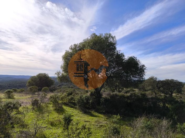 Image No.14-Plot for sale