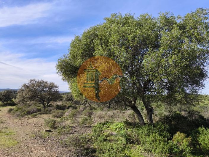 Image No.16-Plot for sale