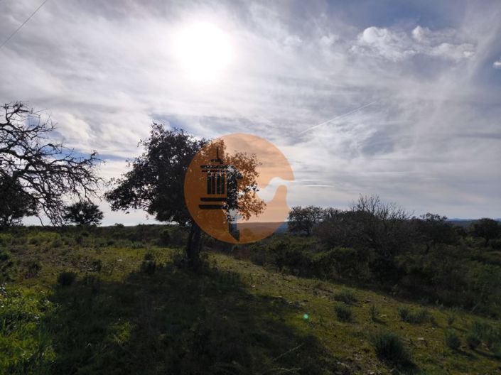 Image No.3-Plot for sale