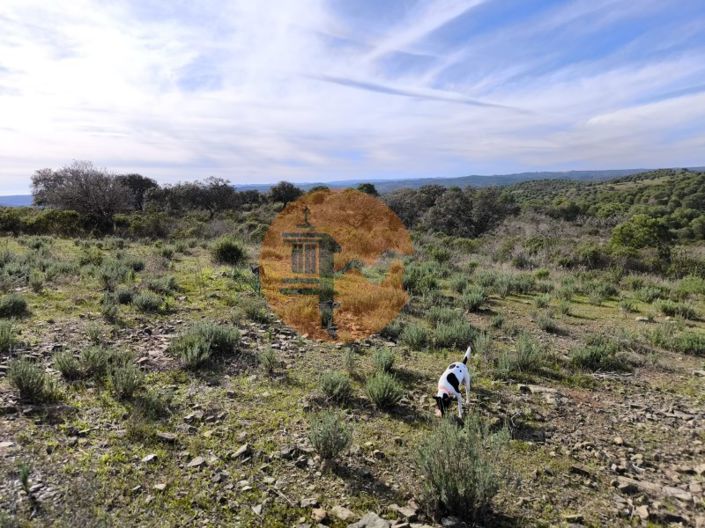 Image No.5-Plot for sale