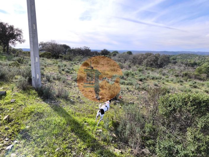 Image No.7-Plot for sale