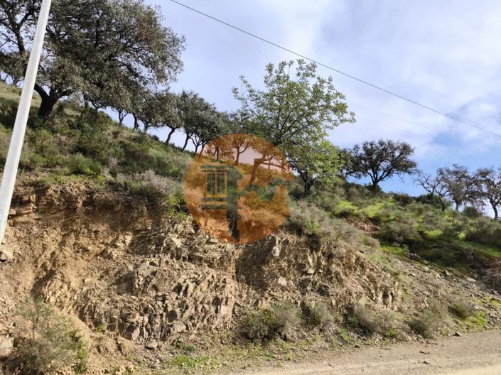 Image No.14-Plot for sale