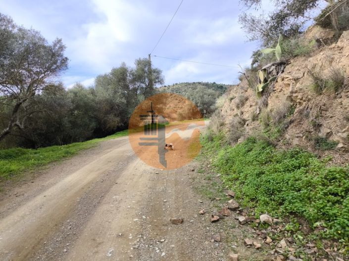 Image No.6-Plot for sale